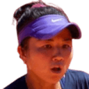 Julia Konishi Camargo Silva